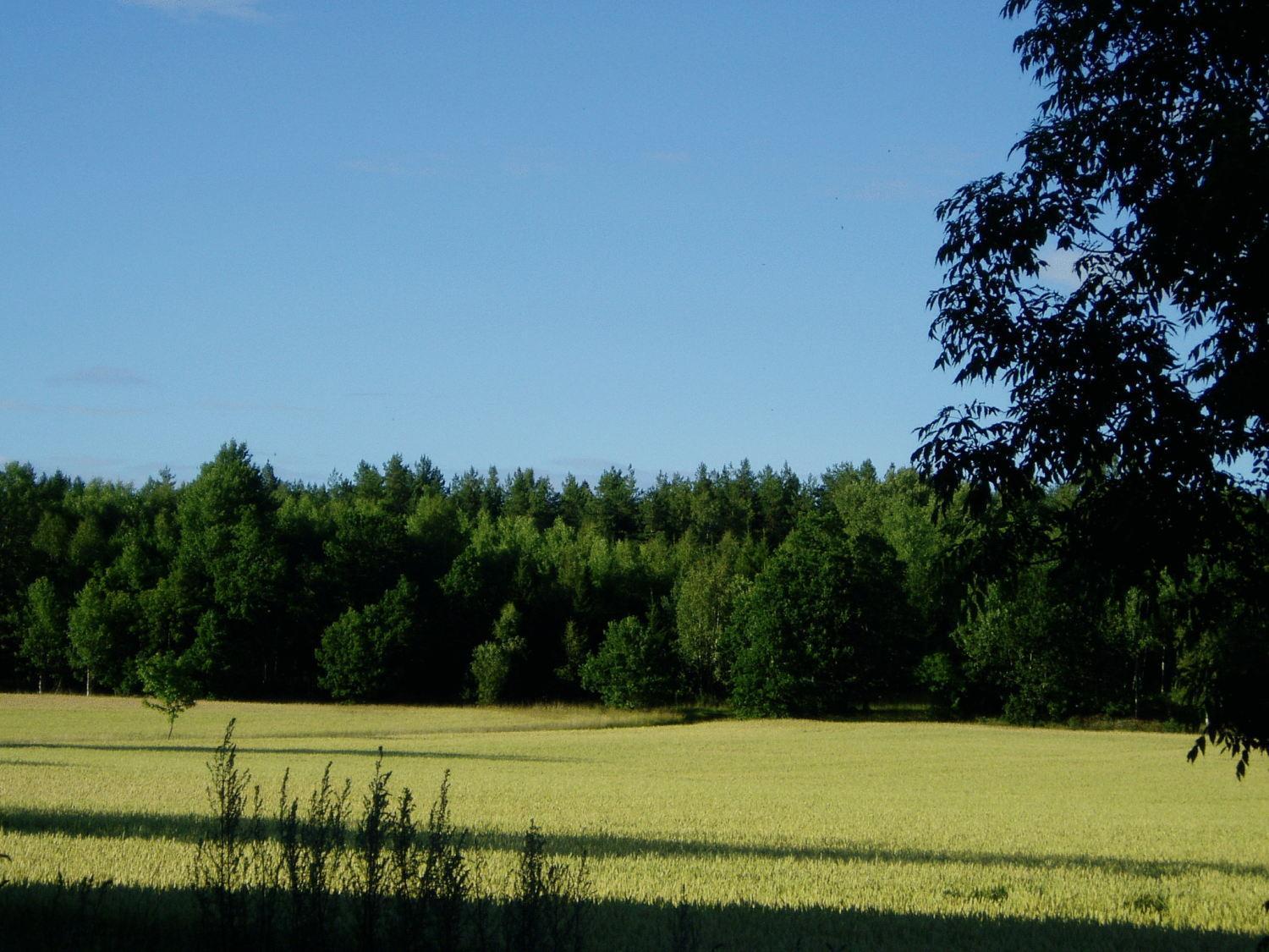 Lasta Gardshotell Strängnäs Dış mekan fotoğraf