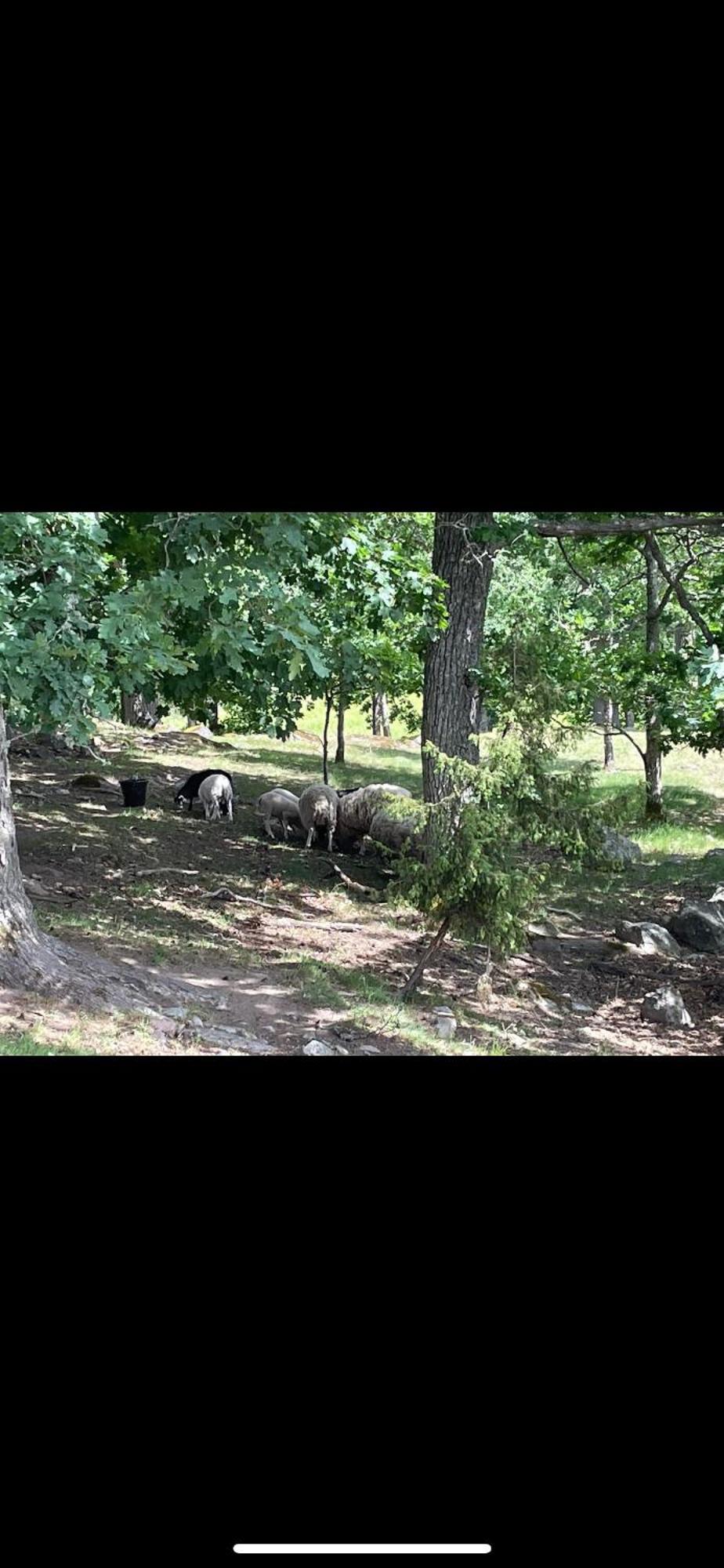 Lasta Gardshotell Strängnäs Dış mekan fotoğraf